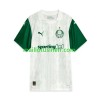 Maillot de Foot Palmeiras Extérieur 2025